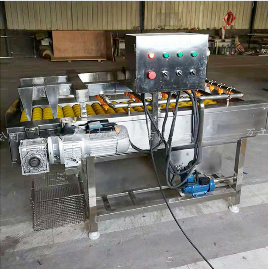 大棗清洗機 專業(yè)氣泡清洗設備